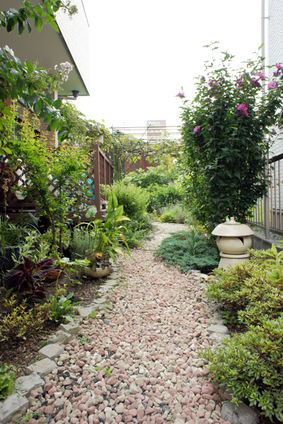 年々楽しくなる庭